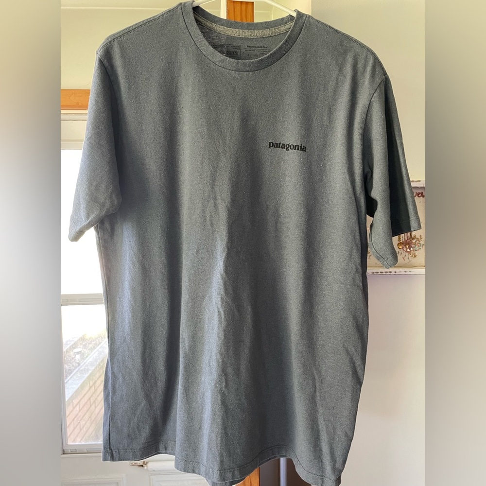 Patagonia T shirt